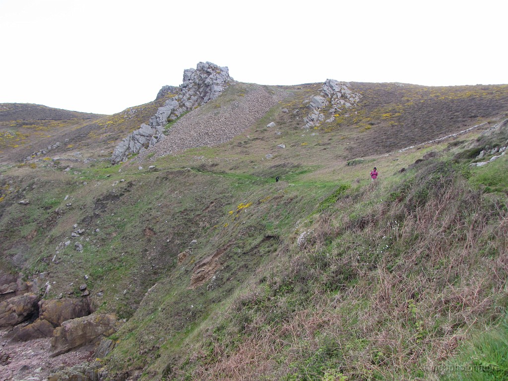 2018-04-26_09h-44m-16s_301.JPG - Dans la lande