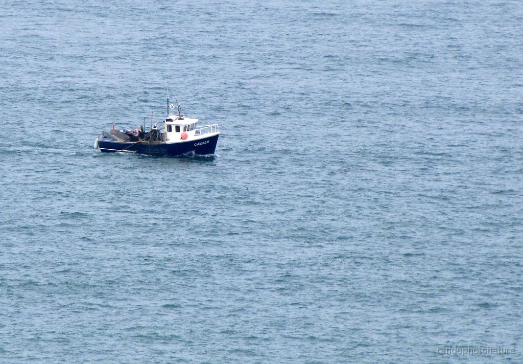 2018-04-28_11h-33m-23s_360.JPG - ça pêche