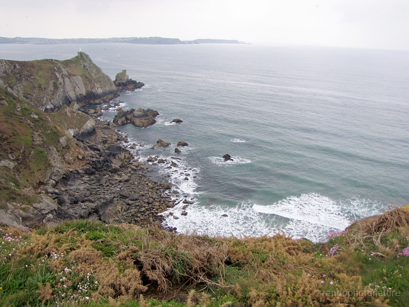 2014-05-02_15h-10m-36s_334.JPG - Rocher Lieval