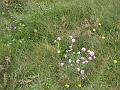 2014-05-03_14h-29m-07s_392