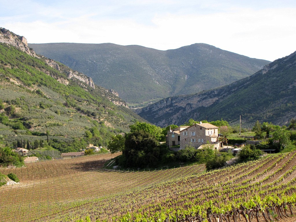 2017-04-15_10h-00m-36s_016.JPG - Le Serre