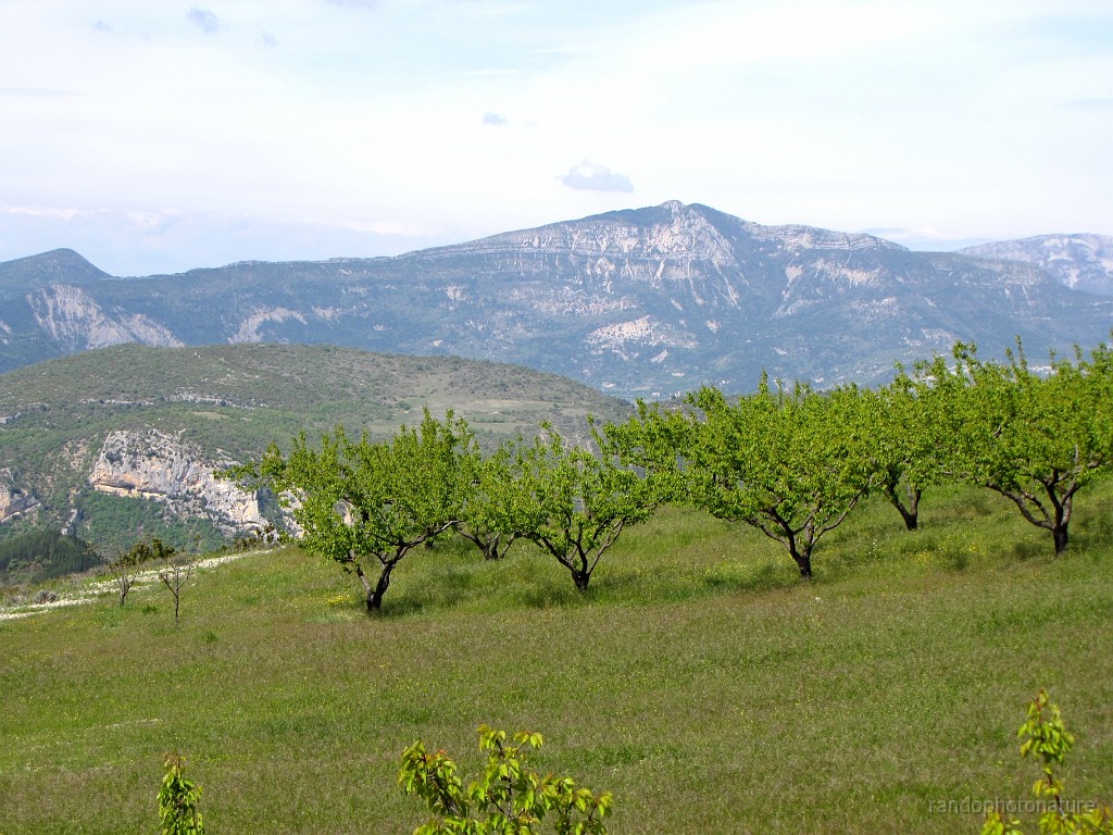 2017-04-15_12h-06m-40s_042.JPG - Fruitiers près de Charaye