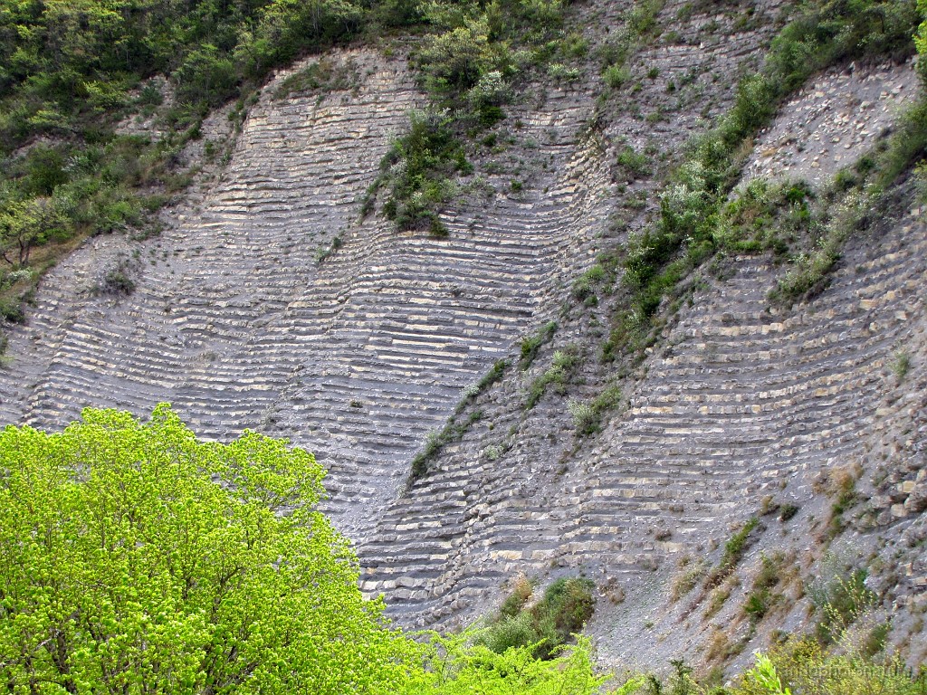 2017-04-15_13h-47m-10s_050.JPG - La Buisse : barre rocheuse plissée