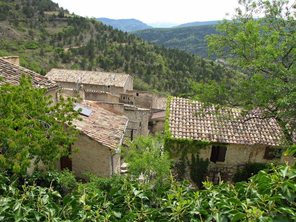 2017-04-15_14h-03m-19s_052.JPG - Vieux toits