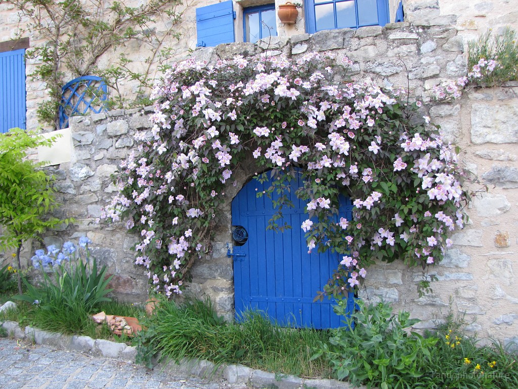 2017-04-16_10h-16m-02s_117.JPG - Rochebrunne