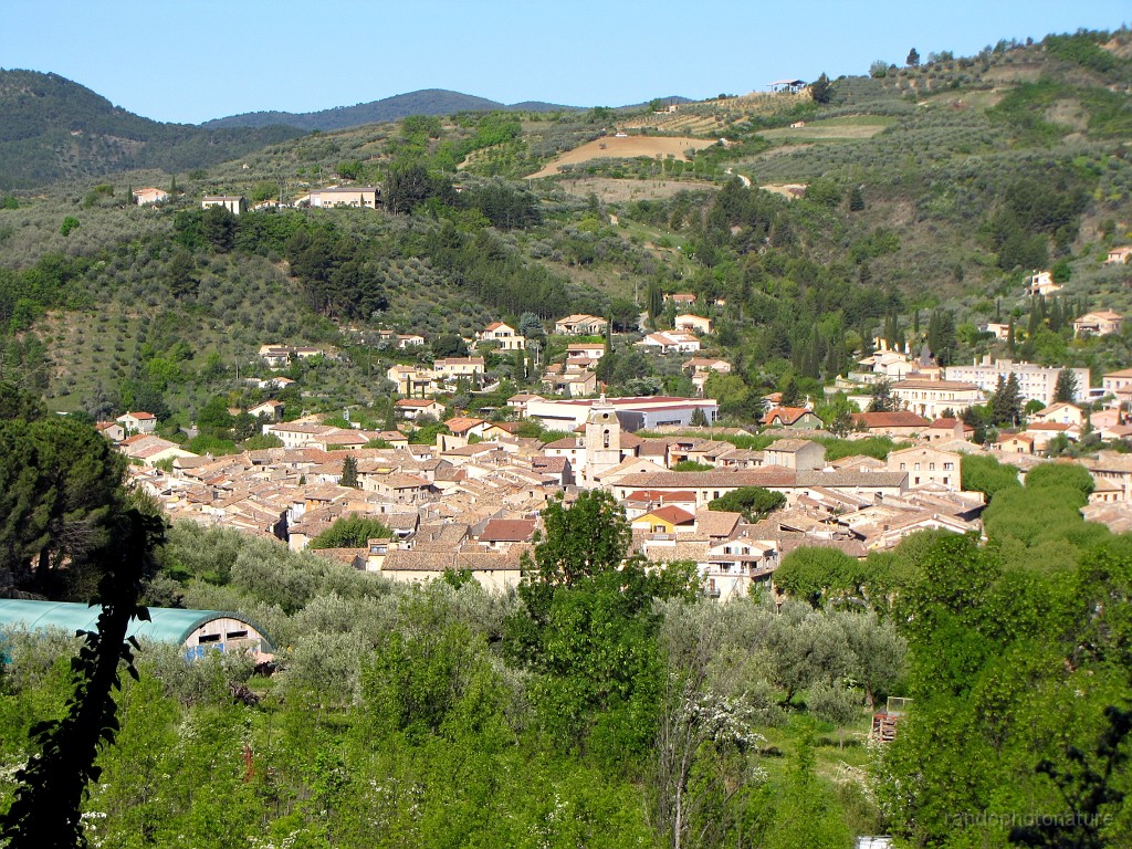 2017-04-17_10h-03m-52s_170.JPG - Buis les Baronnies