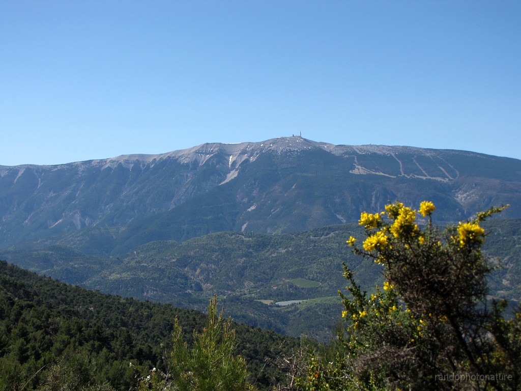 2017-04-17_11h-27m-42s_187.JPG - En face du Ventoux
