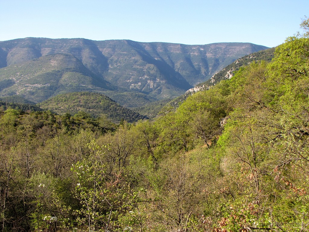 2017-04-18_09h-08m-04s_209.JPG - Ravin de la combe du bohémien