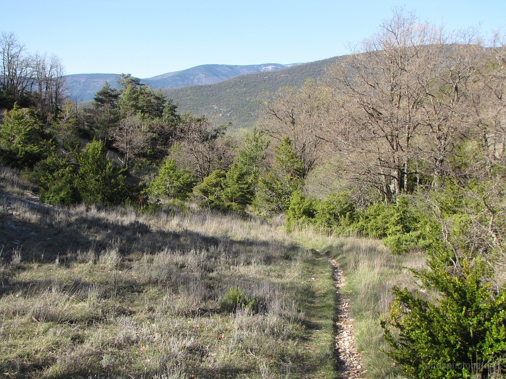 2017-04-18_09h-36m-45s_211.JPG - Ravin de la combe du bohémien