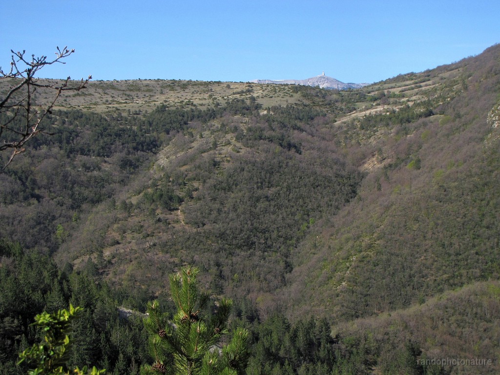 2017-04-18_10h-35m-17s_224.JPG - Au fond le Ventoux