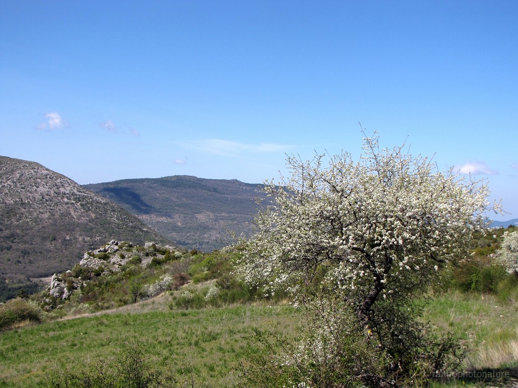 2017-04-18_11h-52m-15s_241.JPG - La Serrière