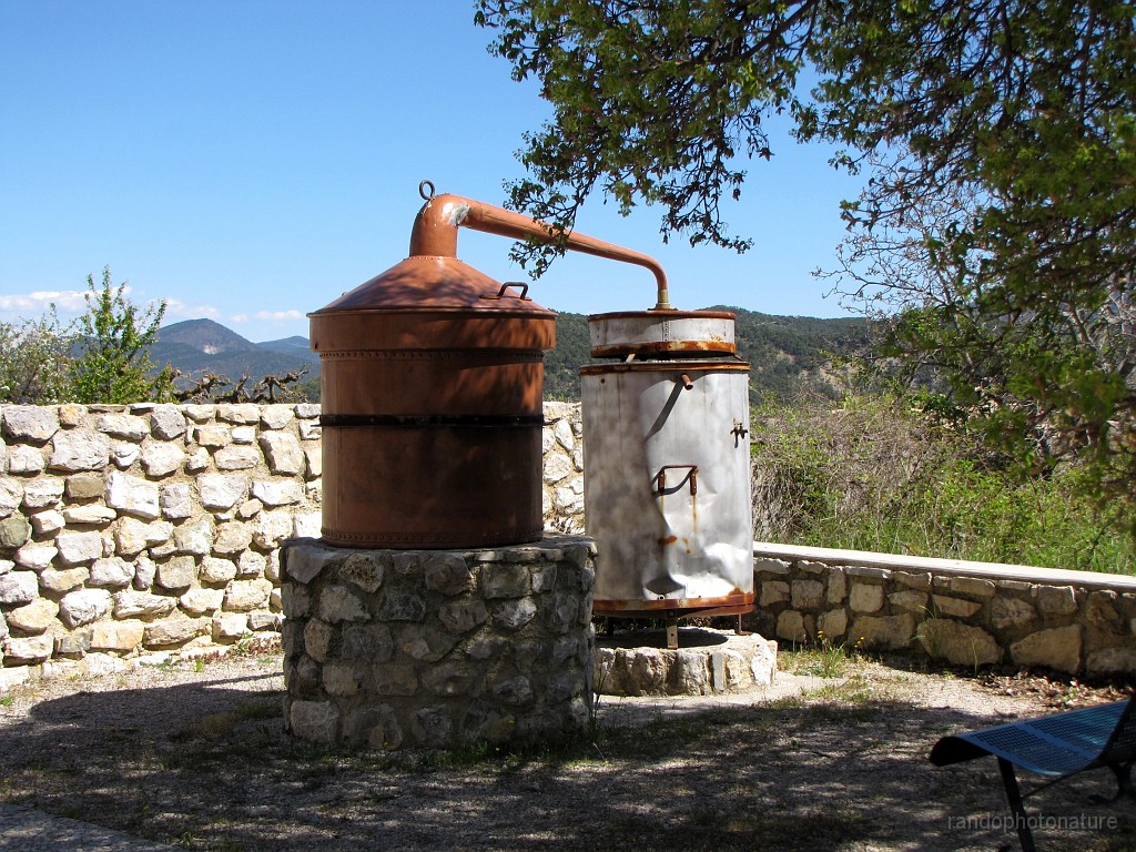 2017-04-19_15h-09m-29s_321.JPG - Alambic pour huiles essentielles