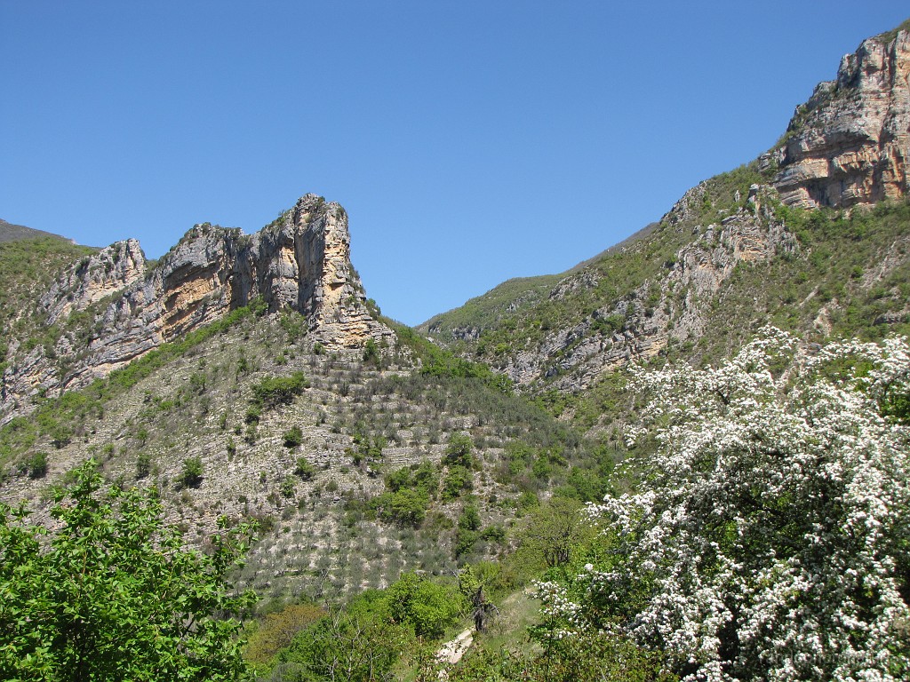 2017-04-21_12h-59m-22s_432.JPG - St May : Etourneau