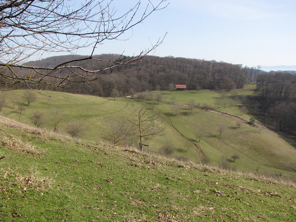 2017-03-12_11h-54m-23s_004.JPG - Jungviehweide