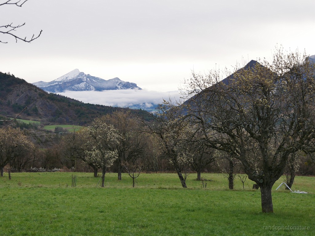 2019-04-07_09h-13m-19s_012.JPG - Au dessus de la Piarre