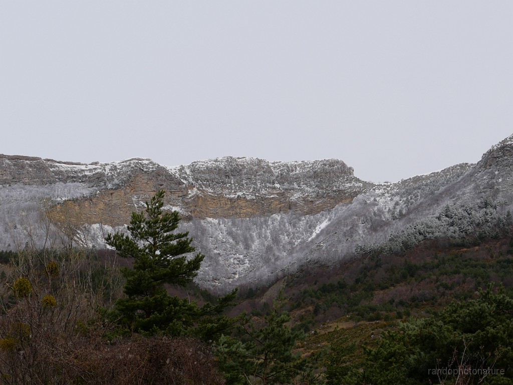 2019-04-07_09h-38m-14s_016.JPG - Les Ailes