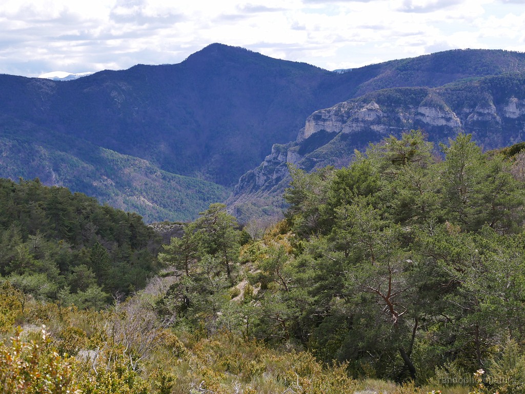 2019-04-08_14h-40m-49s_113.JPG - Ravin de Font Sabatier