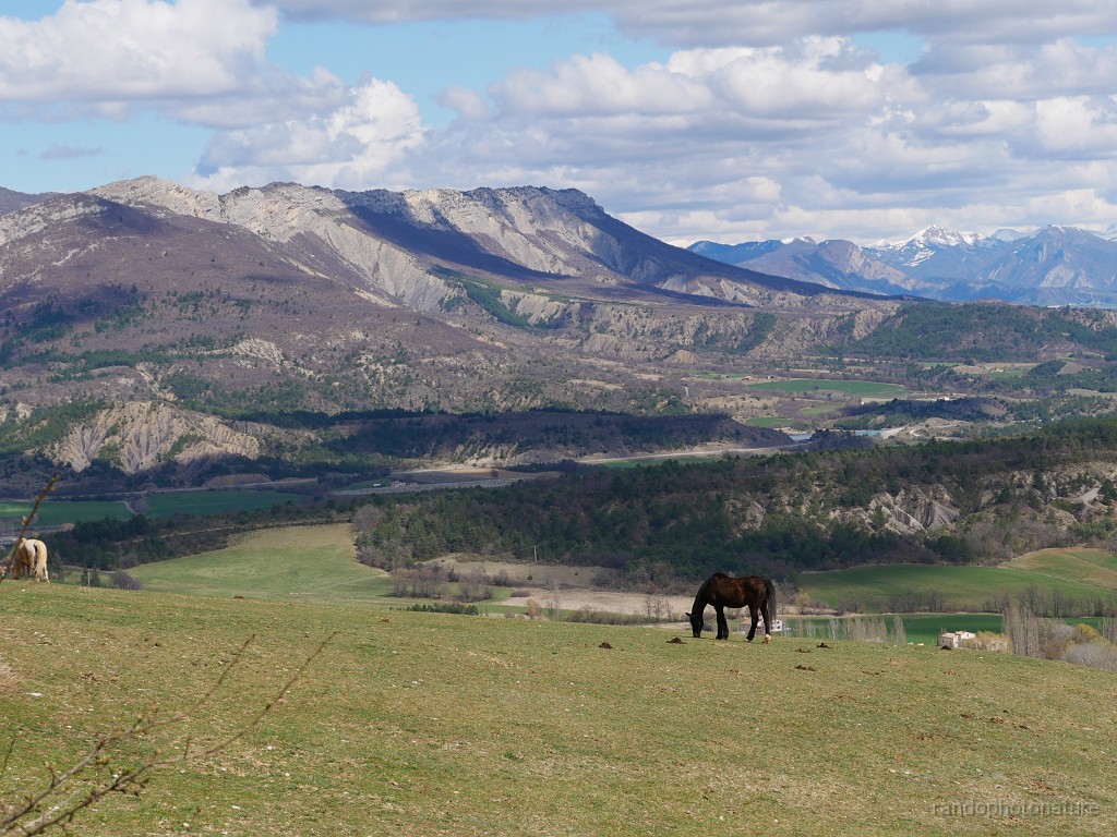 2019-04-08_15h-24m-06s_120.JPG - Bel endroit pour une vie de cheval