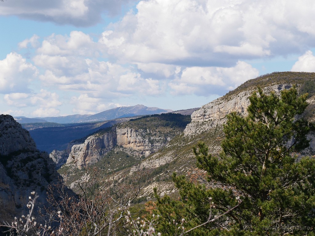 2019-04-09_13h-19m-25s_169.JPG - la vallée de la Blaisance