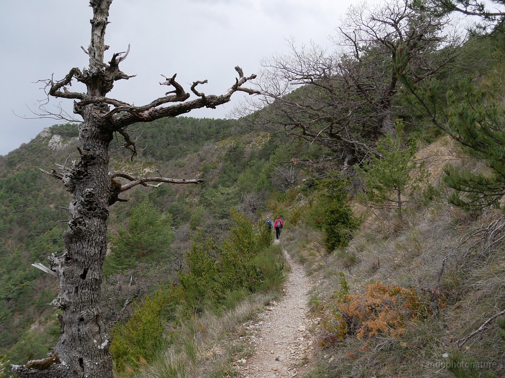 2019-04-09_15h-41m-34s_180.JPG - Le sentier