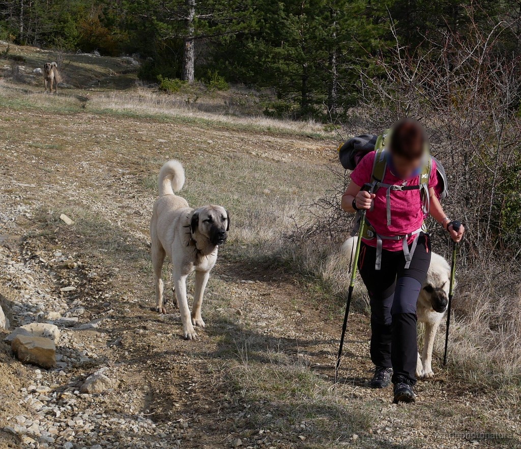 2019-04-11_09h-52m-06s_242.JPG - Garder son calme ......