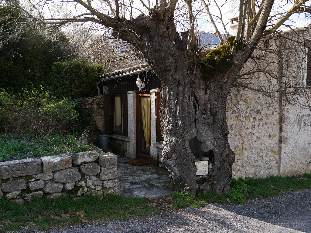 2019-04-11_10h-22m-15s_247.JPG - Boïte aux lettres