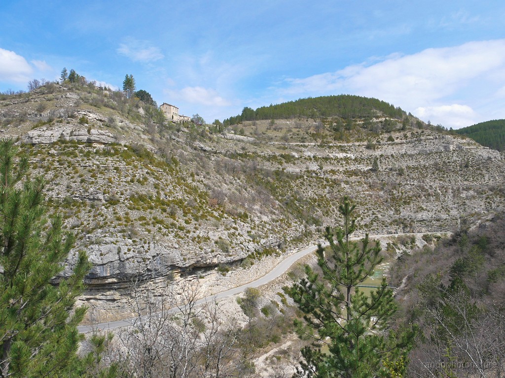 2019-04-11_13h-45m-05s_293.JPG - Pomet au-dessus des gorges