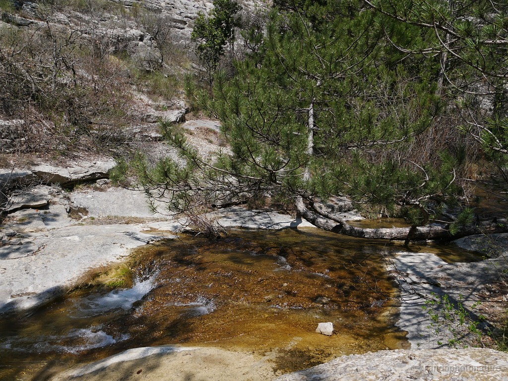 2019-04-12_14h-23m-14s_383.JPG - Le Riou