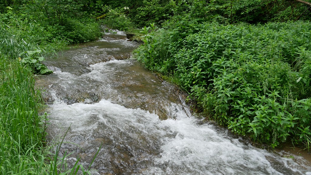 2024-06-02_12h-21m_027.JPG - Affluent  de la Wutach