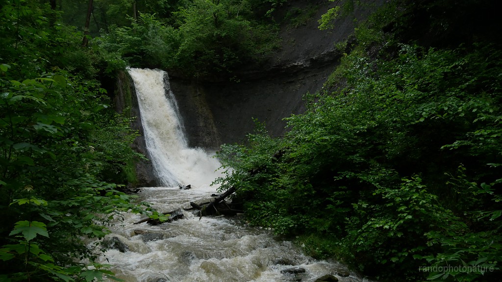 2024-06-03_09h-00m_055.JPG - Cascade du Schleifenbach