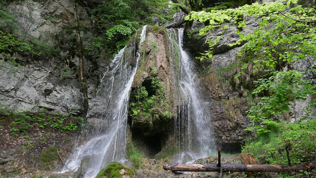 2024-06-03_14h-53m_101.JPG - Tanneger Wasserfall (cascade)