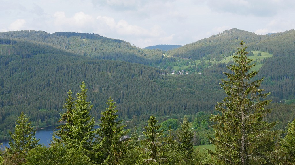 2024-06-05_09h-24m_186.JPG - Bildstein, vue vers le Nord