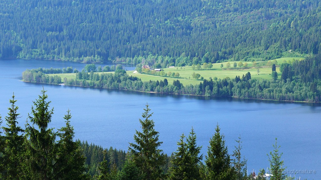2024-06-05_09h-24m_187.JPG - Le Schluchsee et le Unterkrummenhof (prochain point de passage)