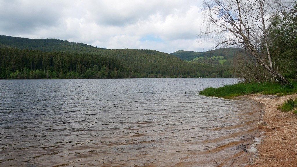 2024-06-05_10h-09m_191.JPG - Le Schluchsee
