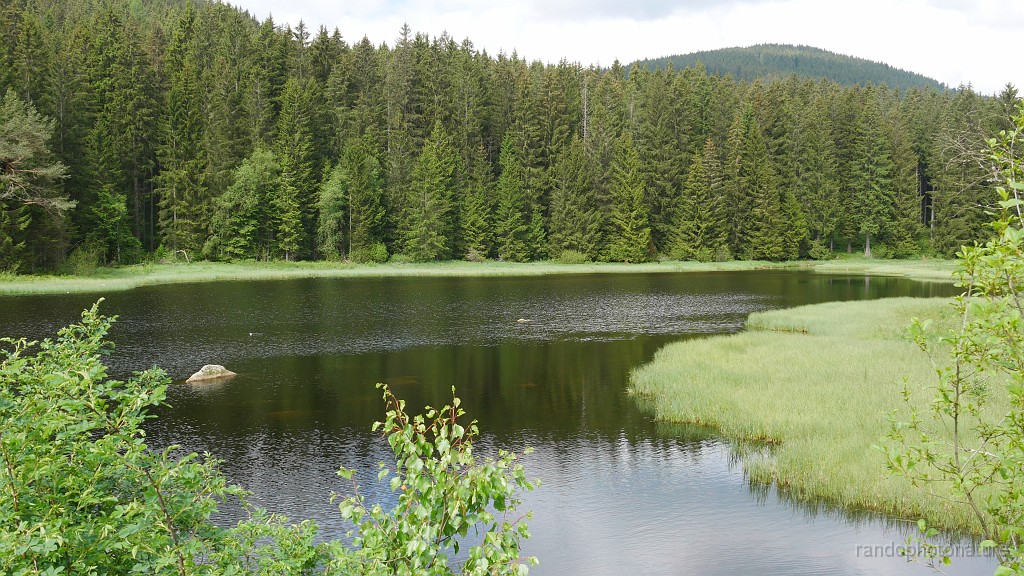 2024-06-05_10h-30m_211.JPG - Partie Nord du Schluchsee