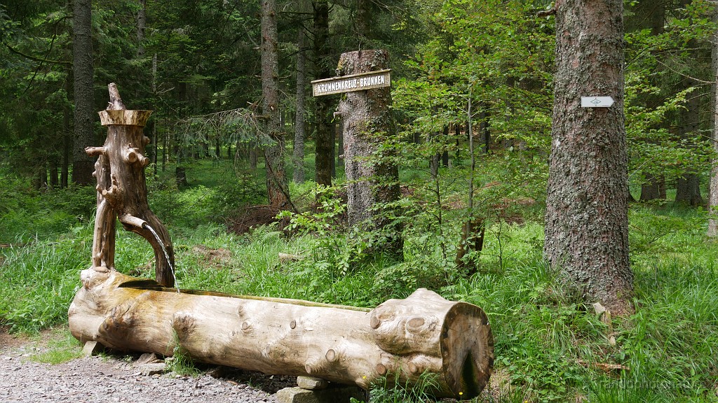 2024-06-05_12h-11m_227.JPG - Krummenkreuzbrünnele