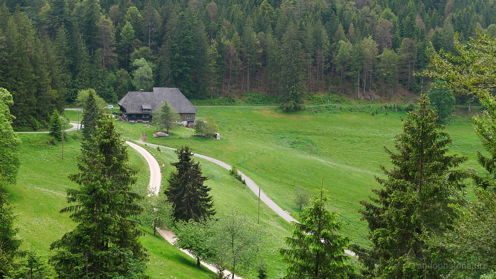2024-06-05_13h-06m_228.JPG - Le Mucheland
