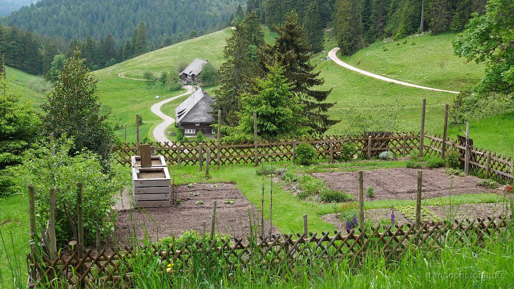 2024-06-05_13h-11m_229.JPG - et ses fermes