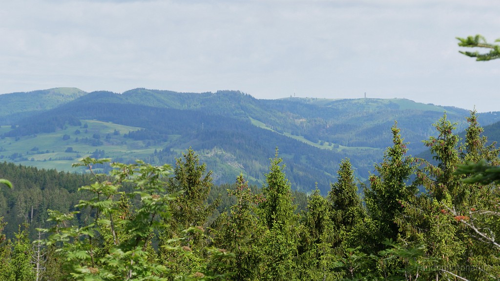 2024-06-06_09h-49m_268.JPG - Au fond, le Feldberg (1493 m, point culminant de la Foret Noire) vu depuis le Lehenkopf