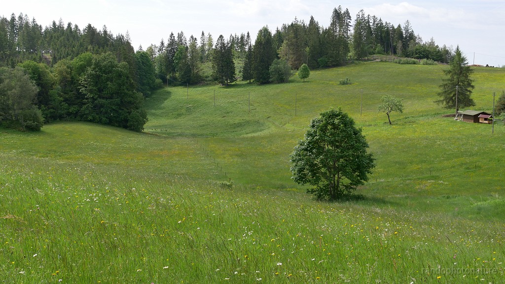 2024-06-06_10h-19m_272.JPG - Le Hoheck
