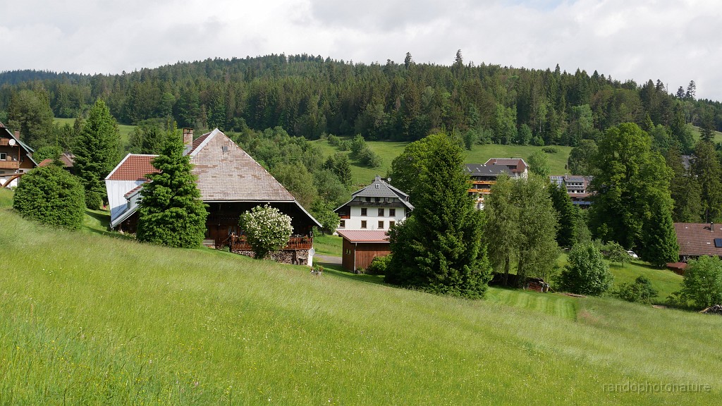 2024-06-07_09h-55m_320.JPG - de Schwartzenbach