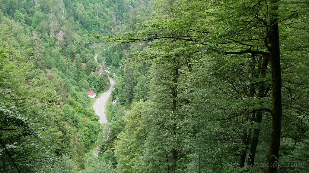 2024-06-07_12h-05m_337.JPG - La route en contrebas