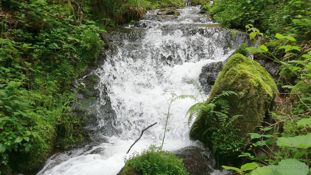 2024-06-07_12h-26m_339.JPG - La Wehr