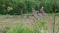 2024-06-02_10h-19m_016