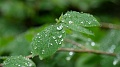 2024-06-02_11h-01m_025