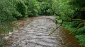 2024-06-03_11h-25m_071