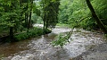 2024-06-03_11h-41m_074