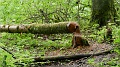2024-06-03_13h-44m_096