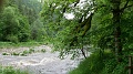 2024-06-03_14h-58m_104