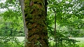 2024-06-03_15h-02m_105